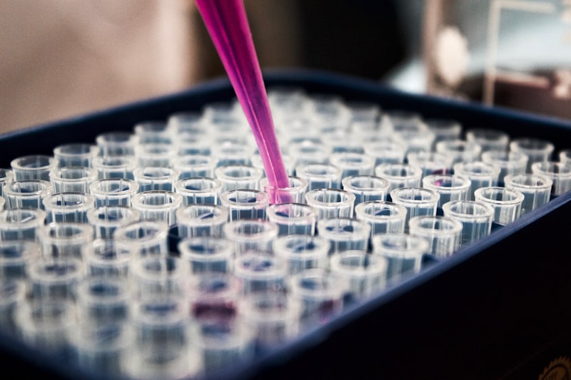 Multichannel pipetting into a 96-well microplate (illustrative stock photograph)